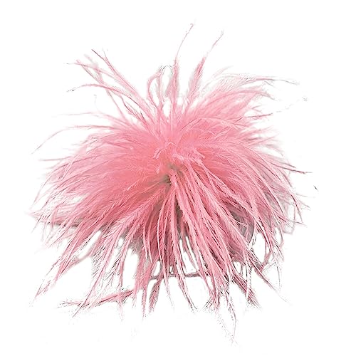 Vintage Feder Brosche,Asudaro Straußenfeder Brosche Damen Federhut Zubehör Damen Feder Brosche Mode Vintage Natürliche Flauschige Straußenfeder Brosche Für Halloween Hochzeit,D: 13 Cm–16 Cm Rosa Vintage Feder Brosche,Asudaro Straußenfeder Brosche Damen Federhut Zubehör Damen Feder Brosche Mode Vintage Natürliche Flauschige Straußenfeder Brosche Für Halloween Hochzeit,D: 13 Cm–16 Cm Rosa von Asudaro