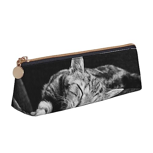 Atasc Napping Kitten Printed Damen Leder Bleistift Tasche Große Kapazität Federmäppchen Stifttasche mit Reißverschluss für Büro, siehe abbildung, Einheitsgröße, Taschen-Organizer von Atasc