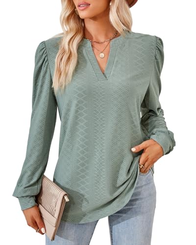 Atxnn Bluse Damen Langarm Hemdbluse Elegant V-Ausschnitt Tops Casual Longbluse Business Oberteile Frühling Herbst Shirt Blusenshirt von Atxnn