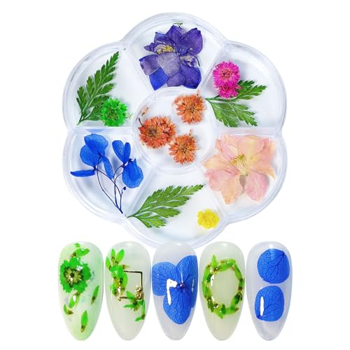 Aublinto 3D Nailart Sticker Getrocknete Blumen Nagelkunst Aufkleber Trockenblumen-Nagelzubehör Nagel Getrocknete Blume für Frauen Manikürist Nagelstudios Natürliche Blumen Nageldekore 3 Boxen von Aublinto