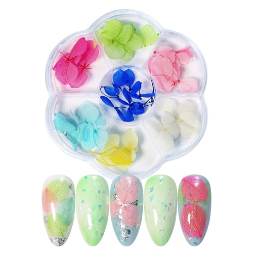 Aublinto 3D Nailart Sticker Getrocknete Blumen Nagelkunst Aufkleber Trockenblumen-Nagelzubehör Nagel Getrocknete Blume für Frauen Manikürist Nagelstudios Natürliche Blumen Nageldekore 3 Boxen von Aublinto