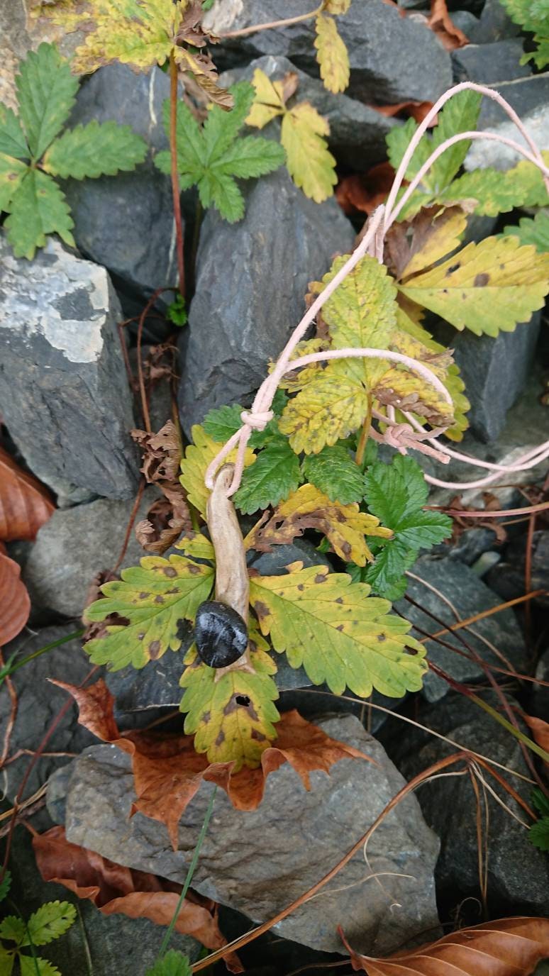 Halskette Mit Lederband Aus Treibholz Und Isarkies Stone Slug Halskette Mit Lederband Aus Treibholz Und Isarkies Stone Slug von AuenSchmuck