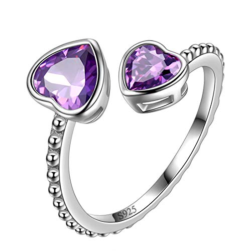 Aurora Tears Februar Birthstone Love Heart verstellbare Ringe 925 Sterling Silber Doppelherz Birth Stone Schmuck Geschenke für Frauen und Männer DR0109F von Aurora Tears