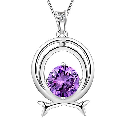 Aurora Tears Fische Halskette 925 Sterling Silber 12 Sternzeichen Anhänger Konstellation Februar Birthstone Halskette CZ Horoskop Schmuck für Frauen und Mädchen DP0134Y von Aurora Tears
