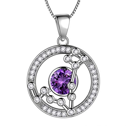 Aurora Tears Fische Halskette 925 Sterling Silber 12 Sternzeichen Runde Anhänger Sternbild Zeichen Februar Birthstone Halskette CZ Horoskop Schmuck Geschenk für Frauen und Mädchen DP0176Y von Aurora Tears