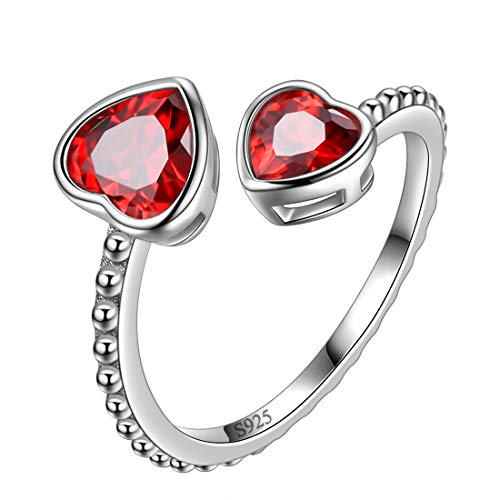 Aurora Tears Januar Birthstone Love Heart verstellbare Ringe 925 Sterling Silber Doppelherz Open Ring Birth Stone Schmuck für Frauen und Männer DR0109J von Aurora Tears