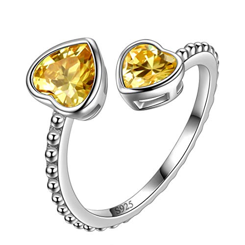 Aurora Tears November Birthstone Love Heart verstellbare Ringe 925 Sterling Silber Birthstone Double Heart Open Ring Geburtsstein Schmuck für Frauen und Männer DR0109N von Aurora Tears