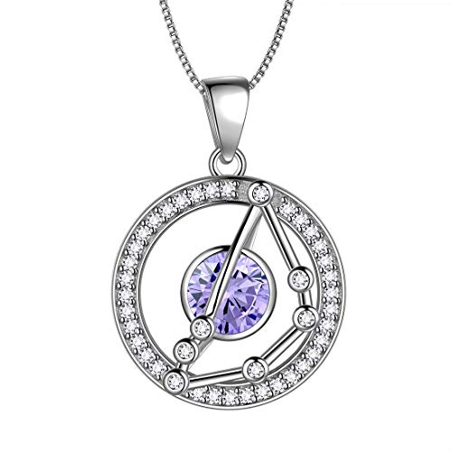 Aurora Tears Steinbock Halskette 925 Sterling Silber 12 Sternzeichen Runde Anhänger Sternbild Zeichen Dezember Birthstone Halskette CZ Horoskop Schmuck für Frauen und Mädchen DP0176M von Aurora Tears