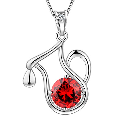 Aurora Tears Wassermann Halskette 925 Sterling Silber 12 Sternzeichen Anhänger Konstellation Januar Birthstone Halskette CZ Horoskop Schmuck Geschenk für Frauen und Mädchen DP0134P von Aurora Tears