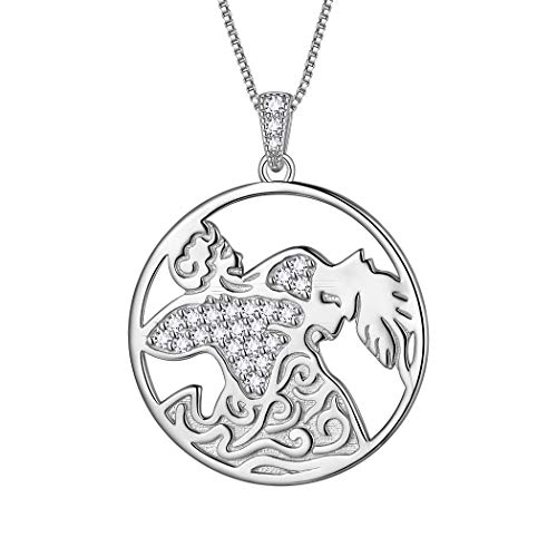 Aurora Tears Wassermann Halskette 925 Sterling Silber 12 Sternzeichen Anhänger Konstellation Runde Münze Halskette CZ Horoskop Schmuck für Frauen und Mädchen DP0291P von Aurora Tears