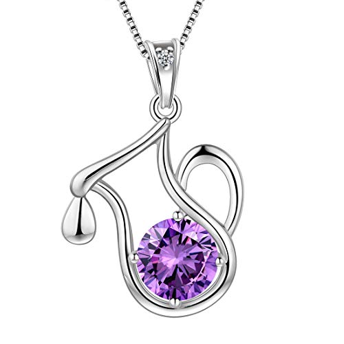 Aurora Tears Wassermann Halskette 925 Sterling Silber 12 Sternzeichen Anhänger Sternbild Februar Birthstone Halskette CZ Horoskop Schmuck Geschenk für Frauen und Mädchen DP0134P von Aurora Tears