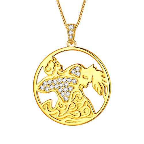 Aurora Tears Wassermann Halskette 925 Sterling Silber 12 Sternzeichen Anhänger Sternbild Vergoldet Runde Münze Halskette CZ Horoskop Schmuck Geschenk für Frauen und Mädchen DP0111P-Y von Aurora Tears