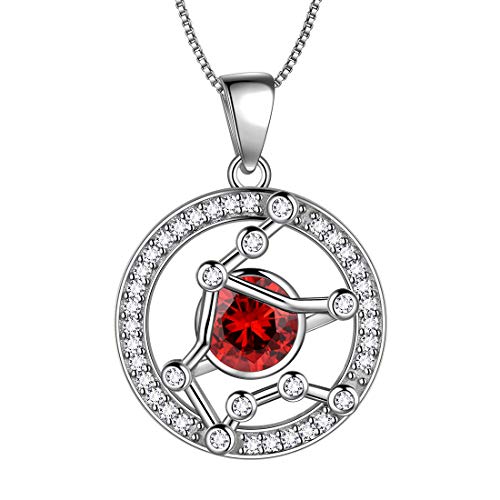 Aurora Tears Wassermann Halskette 925 Sterling Silber 12 Sternzeichen Runde Anhänger Sternbild Zeichen Januar Birthstone Halskette CZ Horoskop Schmuck Geschenk für Frauen und Mädchen DP0176P von Aurora Tears