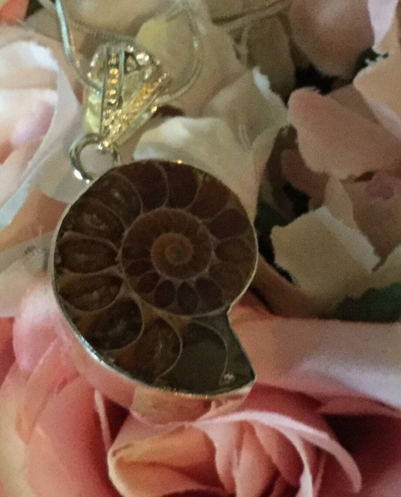 Ammonit Anhänger in Sterling Silber Gefasst von AurorasGemstones