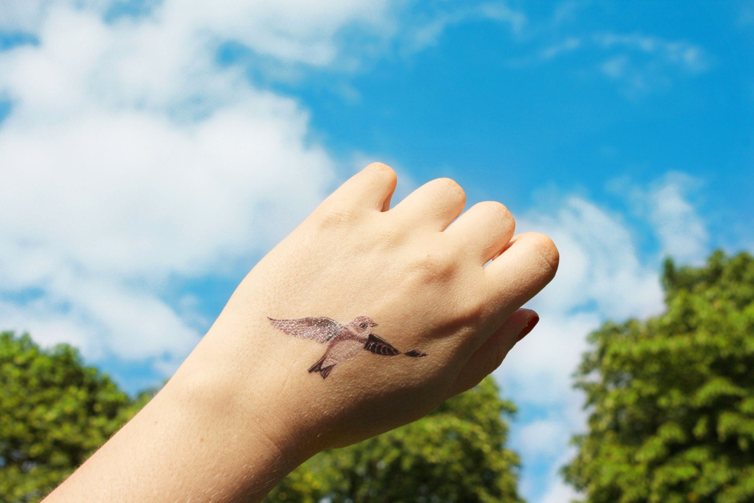 Bank-Schwalbe Kurzlebige Tattoo + Erläuternde Merkblatt/Sammlung Loire Bank-Schwalbe Kurzlebige Tattoo + Erläuternde Merkblatt/Sammlung Loire von AuroreLhiverNait