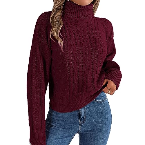 Strickpullover Damen Stehkragen Warm Oberteil Tops Blusen Sweatshirts Tunika Tops (L) von Ausla