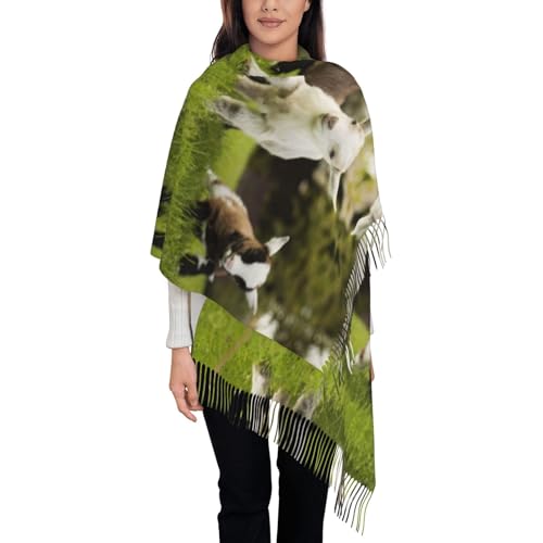 AvImYa Schal für Damen, mit Handdruck, bedruckt, Quaste, Winter, lang, weich, warm, Süße Ziege, One size AvImYa Schal für Damen, mit Handdruck, bedruckt, Quaste, Winter, lang, weich, warm, Süße Ziege, One size von AvImYa