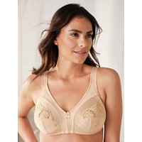 Soft-BH Triangel von Avena