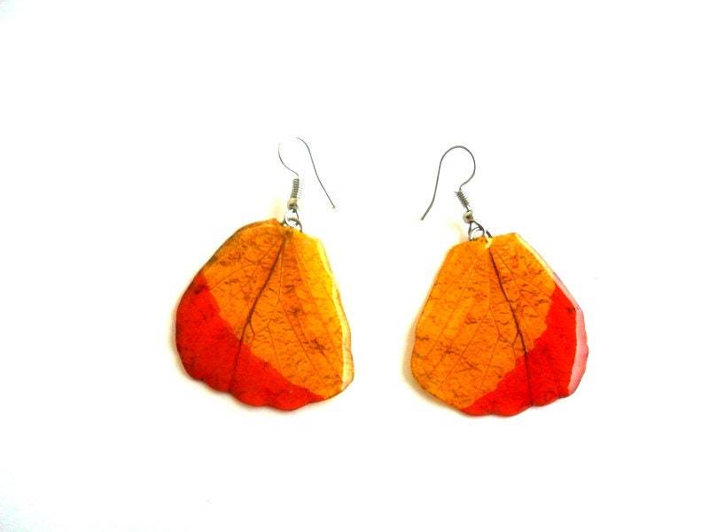 Echte Schmetterling Flügel Ohrringe Handgemachte Unsual Schmuck Geschenk/Natürliche Ohrring von Avivahandmade