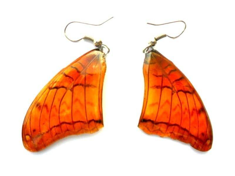 Echte Schmetterling Flügel Ohrringe Handmade Unsual Farbe Schmuck Geschenk/Natürliche Ohrring Kostenloser Versand von Avivahandmade