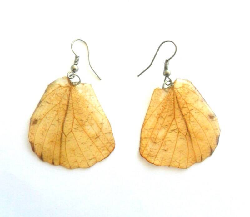 Echte Schmetterlings-Flügel-Ohrringe Handmade Unsual Farbe Schmuck Geschenk/Naturschmuck Ohrring von Avivahandmade