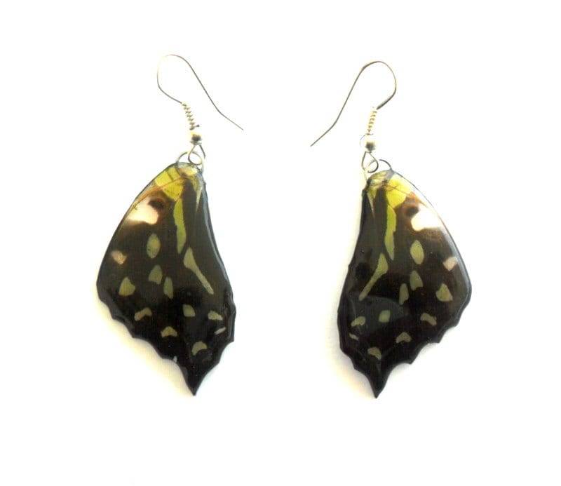 Echte Schmetterlings-Flügel-Ohrringe Handmade Unsual Farbe Schmuck Geschenk/Naturschmuck Ohrring von Avivahandmade