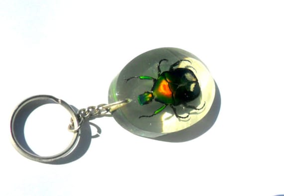 Echter Käfer Insekt Schlüsselanhänger Echte Präparator Entomologie Käfer, Harz, Spinnen, Präparator, Geschenk von Avivahandmade