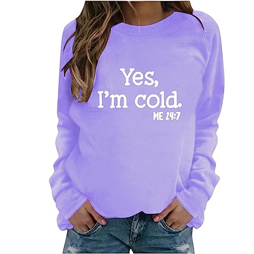 Sweatshirts für Damen Pullover Y2k Basic Langarmshirt Vintage Teenager Pullov Locker Oberteil ohne KapuzeLeichte Outdoor Fleece Outwear Kawaii 2023 Taillierte Outfits Freizeit Pulli Shirts von Awrvia