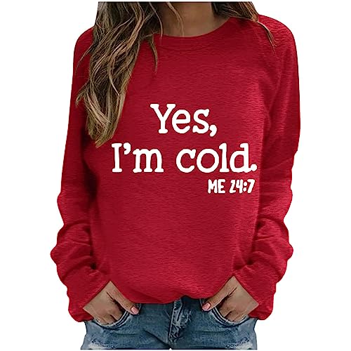 Sweatshirts für Damen Pullover Y2k Basic Langarmshirt Vintage Teenager Pullov Locker Oberteil ohne KapuzeLeichte Outdoor Fleece Outwear Kawaii 2023 Taillierte Outfits Freizeit Pulli Shirts von Awrvia