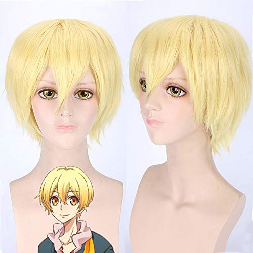 AxBALL Anwenden für Koi Kisaragi Anime Animation Shiwasu Kakeru Fasching Haarverkleidung (Color : Yellow) von AxBALL