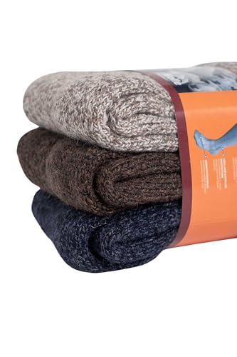 Aytuğ Çorap 3 paar Merino Socken für Damen Thermal Norweger Socken für Winter Outdoor Warme Socken Damen, Merinowolle Socken (2038, DE/NL/SE/PL, Numerisch, 35, 38, Regular, Regular) von Aytuğ Çorap