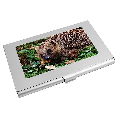 Azeeda 'Igel' Visitenkarten-etui (CH00005901) von Azeeda