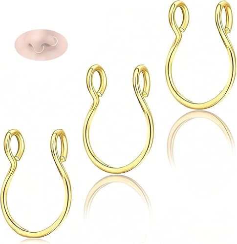 AzureRay 3er Set Fake Nasenring Gold, Faux Septum & Nose Ring Hoop, Chirurgenstahl Clip auf Piercing, Ohne Stechen Körperschmuck Set für Männer & Frauen von AzureRay