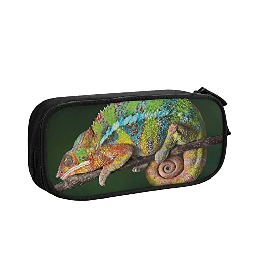 Federmäppchen Große Kapazität Federmäppchen Reptilien Bleistift Tasche Büro Stifthalter Organizer Schreibwaren Tasche für Mädchen Jungen Werbung, farbe, 5.0cm*10.5cm*20.5cm, federmäppchen von BAAROO