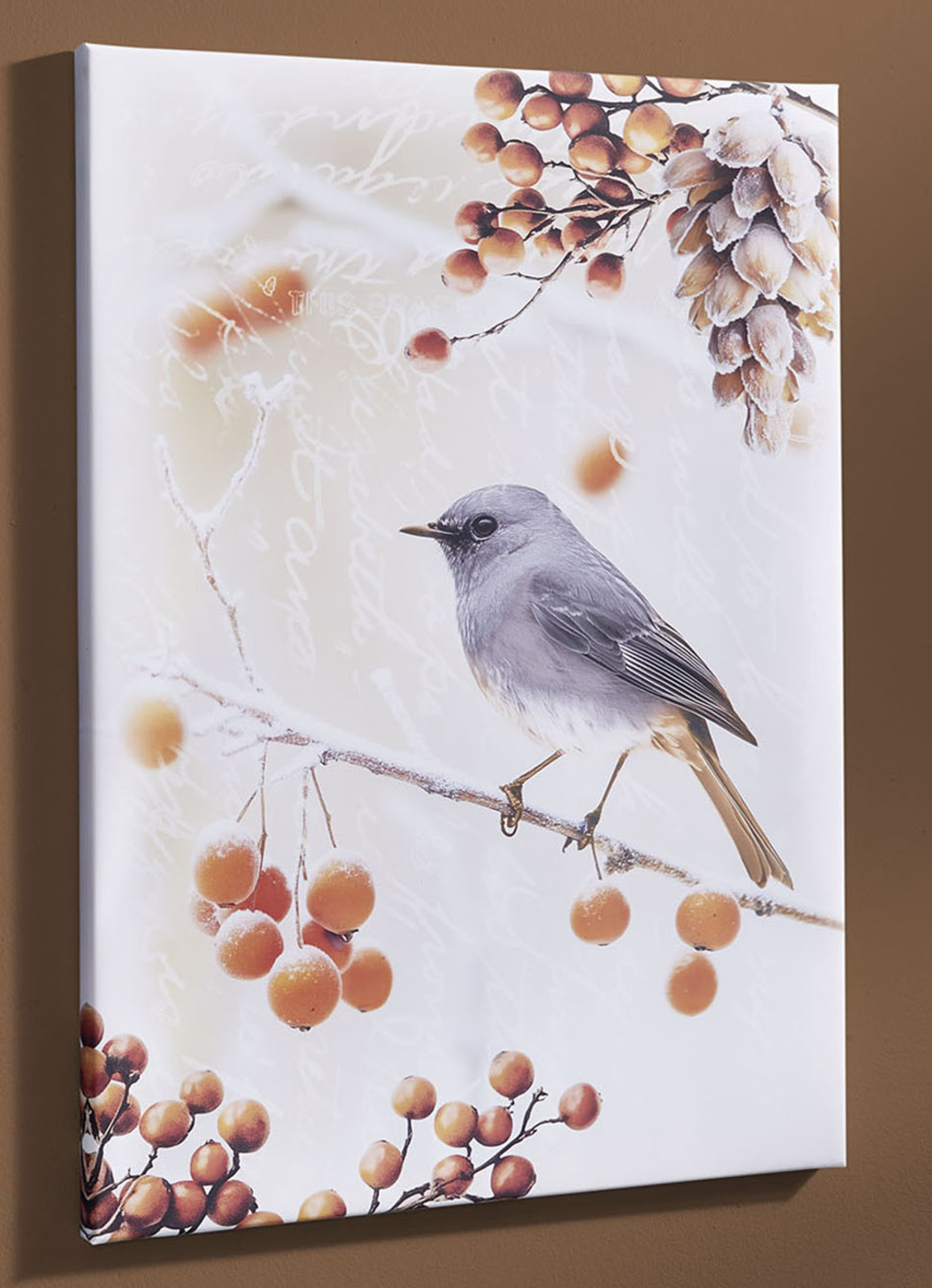 Bild Vogel des Jahres 2025 Hausrotschwanz auf Leinwand, Hausrotschwanz von der Seite, Maße B45xH60T1,8 cm, Bunt Bild Vogel des Jahres 2025 Hausrotschwanz auf Leinwand, Hausrotschwanz von der Seite, Maße B45xH60T1,8 cm, Bunt von BADER