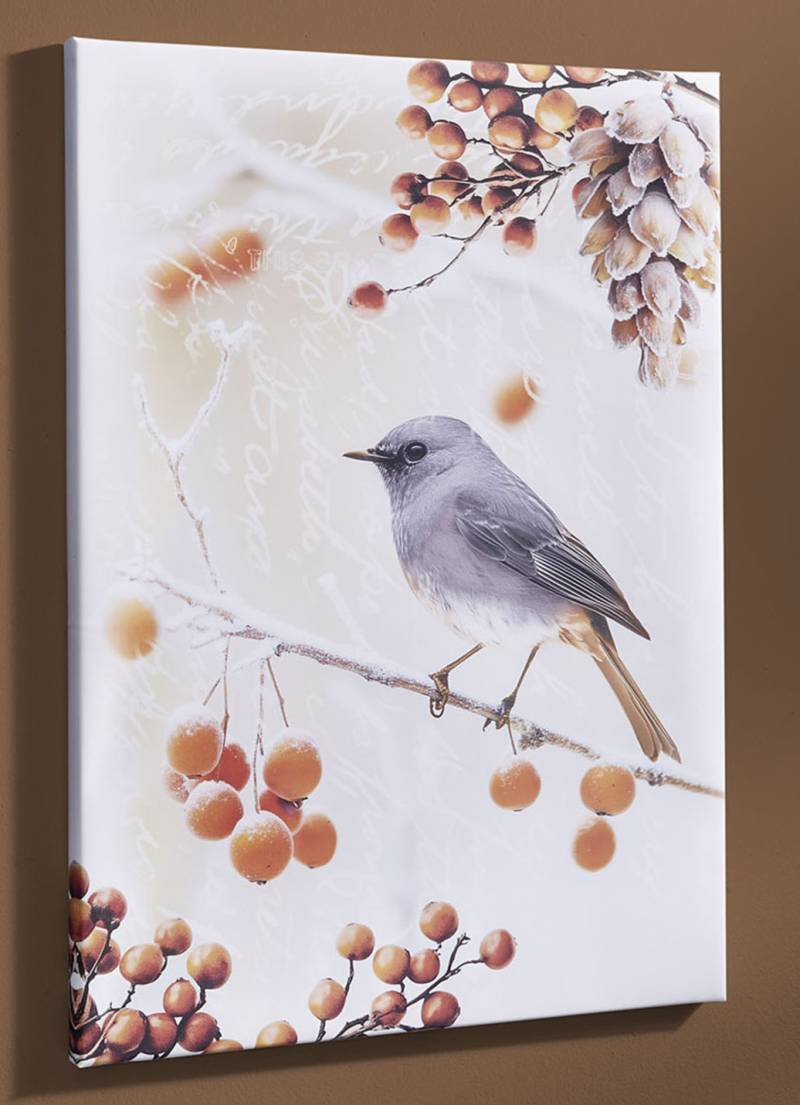 Bild Vogel des Jahres 2025 Hausrotschwanz auf Leinwand, Hausrotschwanz von der Seite, Maße B60xH80T1,8 cm, Bunt von BADER