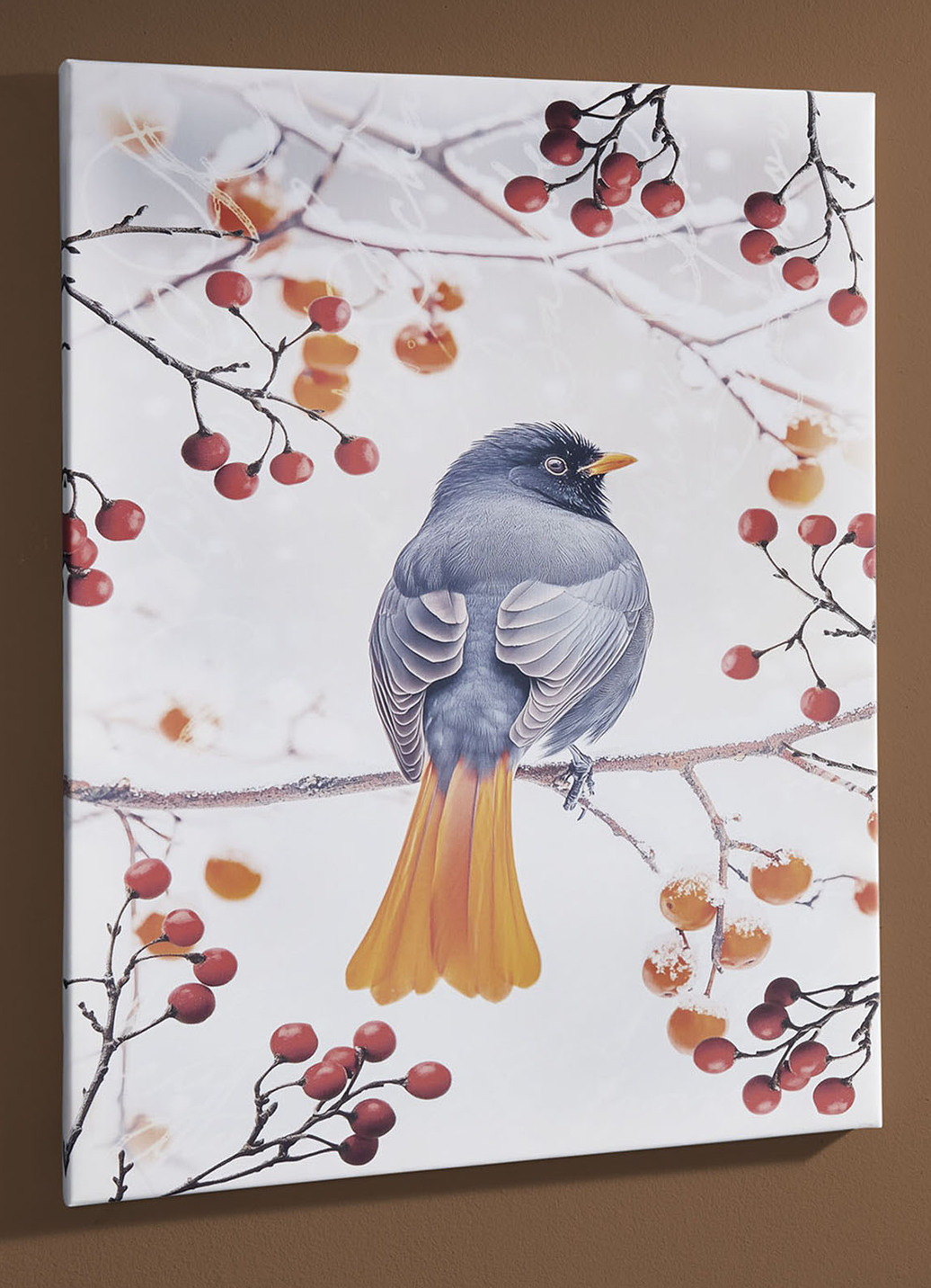 Bild Vogel des Jahres 2025 Hausrotschwanz auf Leinwand, Hausrotschwanz von hinten, Maße B45xH60T1,8 cm, Bunt Bild Vogel des Jahres 2025 Hausrotschwanz auf Leinwand, Hausrotschwanz von hinten, Maße B45xH60T1,8 cm, Bunt von BADER