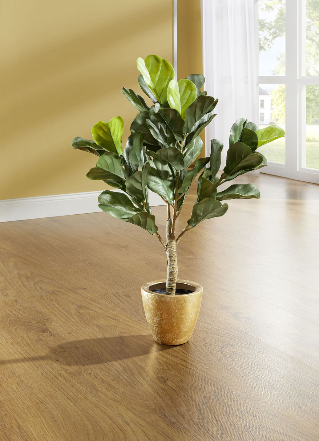 Feigenblattpflanze im Topf, Grün von BADER