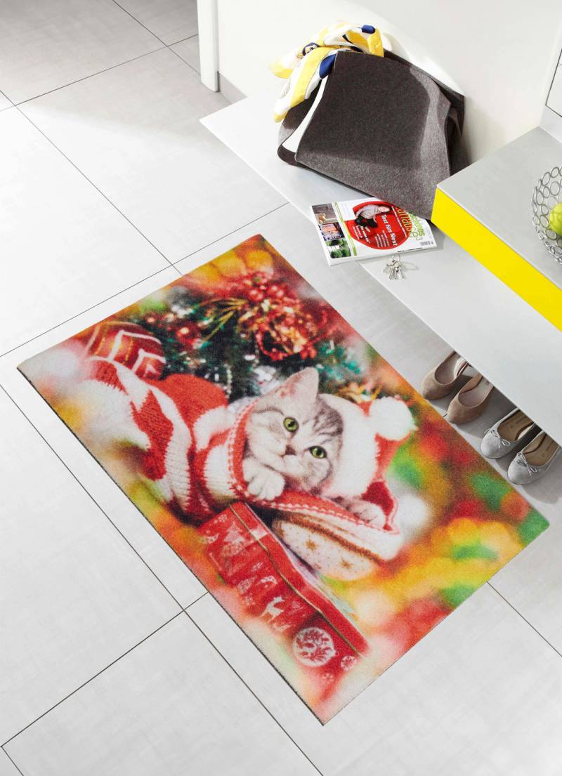 Fußmatte Kätzchen mit rutschfester Rückseite, Bunt von BADER