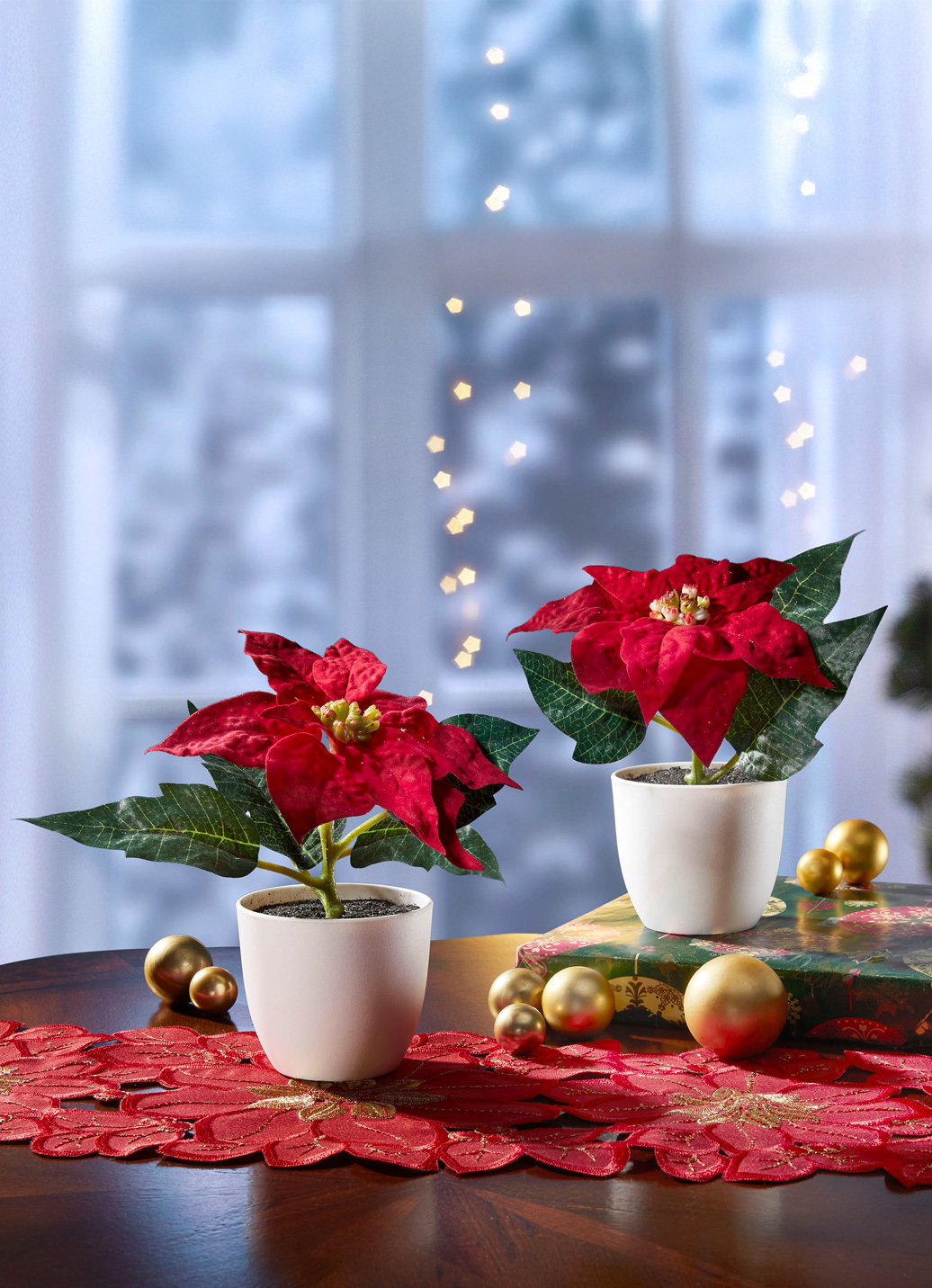 Mini-Poinsettia-Blüten im Topf, 2er-Set, Rot von BADER