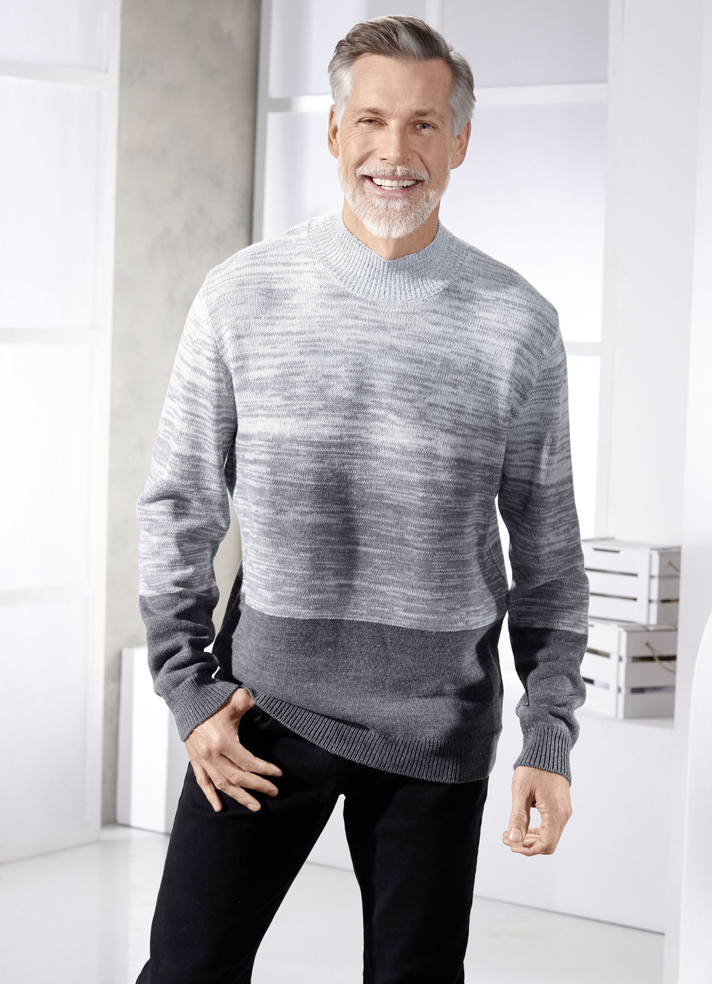 Modischer Pullover mit Stehkragen in 2 Farben, Grau, Größe 46 von BADER