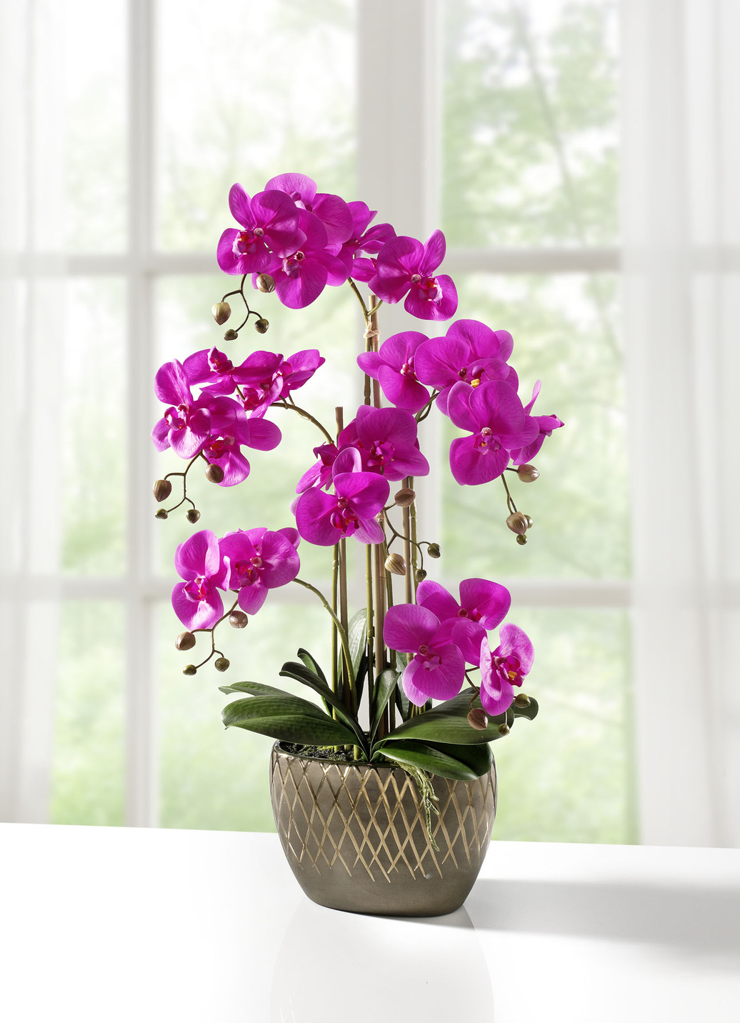 Orchidee im Topf, Fuchsia von BADER