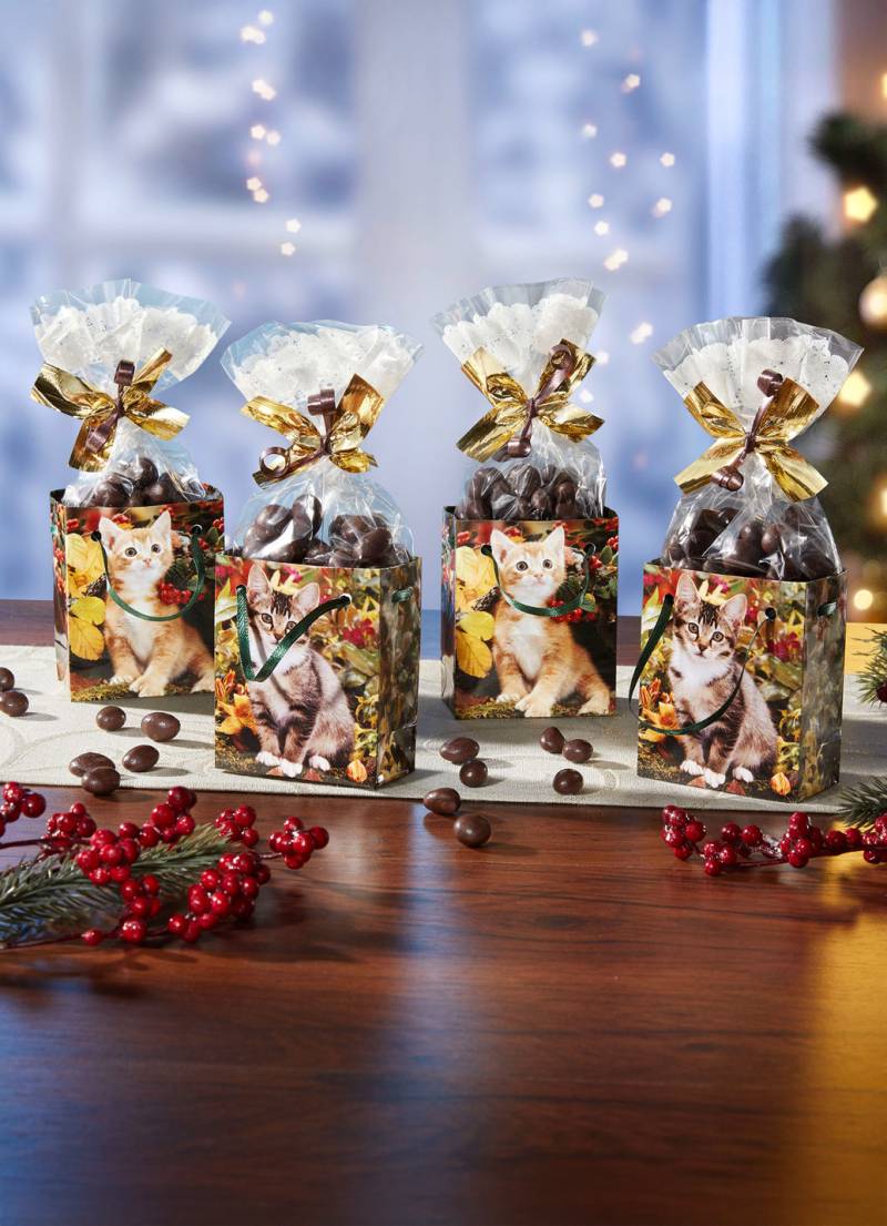 Präsenttüte Herbst-Kätzchen aus Papier, 4er-Set, Bunt von BADER