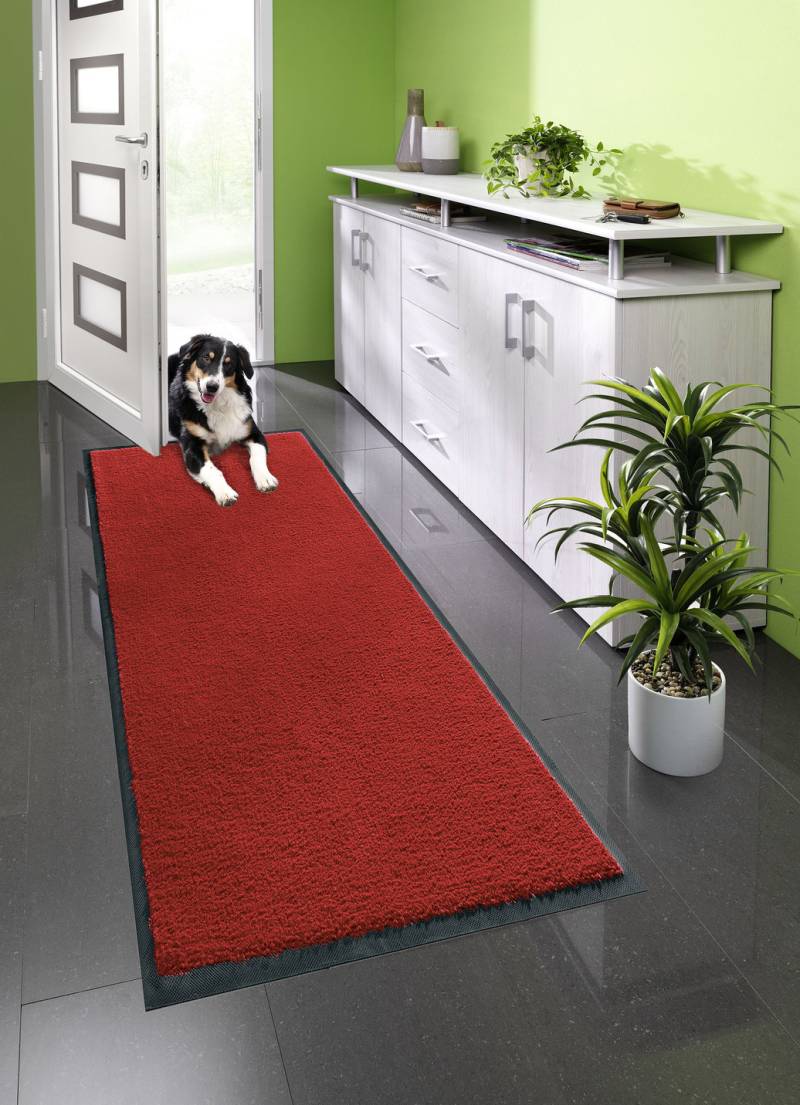 Schmutzfangmatten für innen und außen, Größe 101 (Matte, 40x 60 cm), Rot von BADER