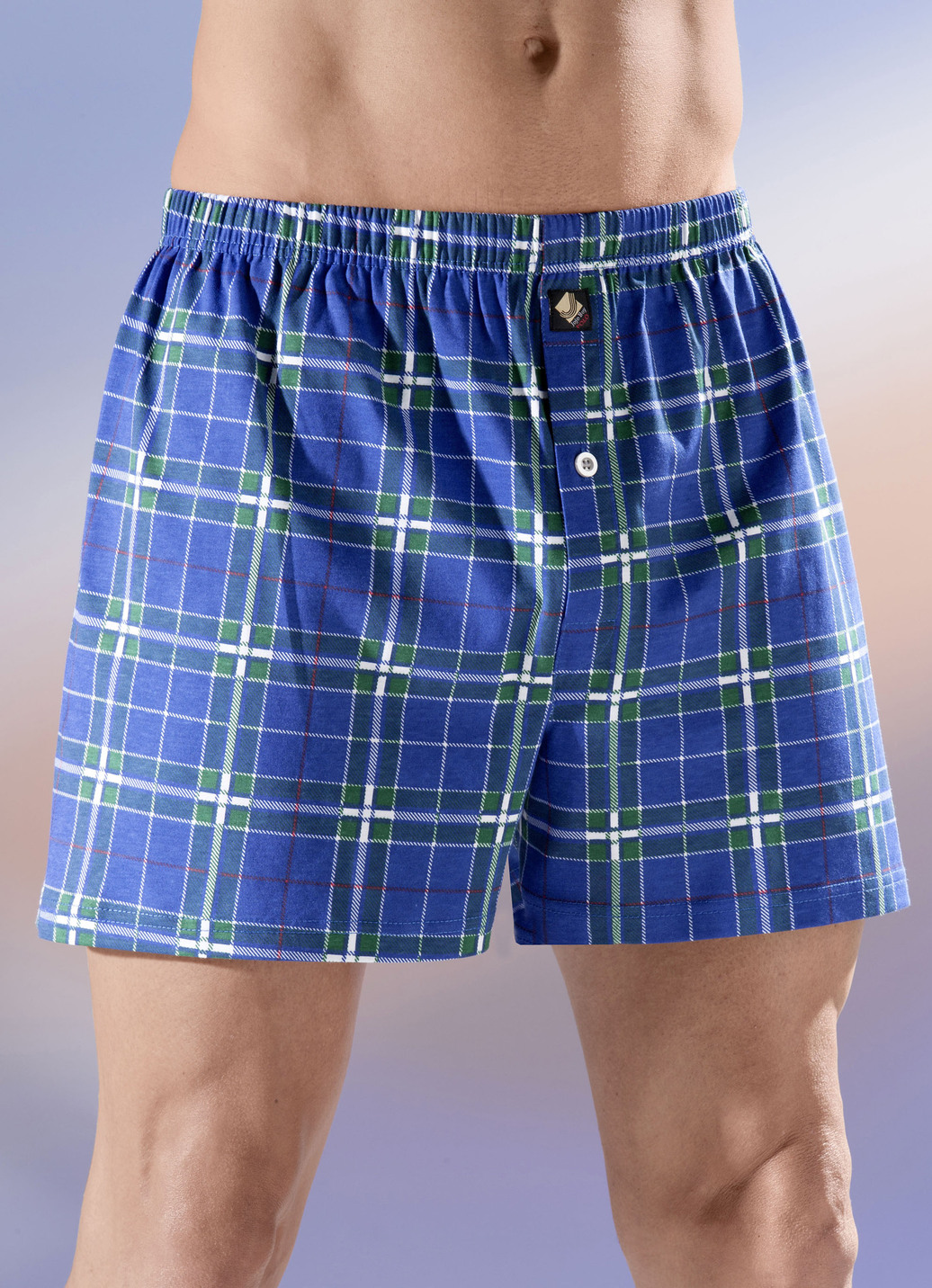 Viererpack Boxershorts, kariert, knöpfbarer Eingriff, 2X Royalblau-Bunt, 2X Gruen-Bunt, Größe 12 von BADER