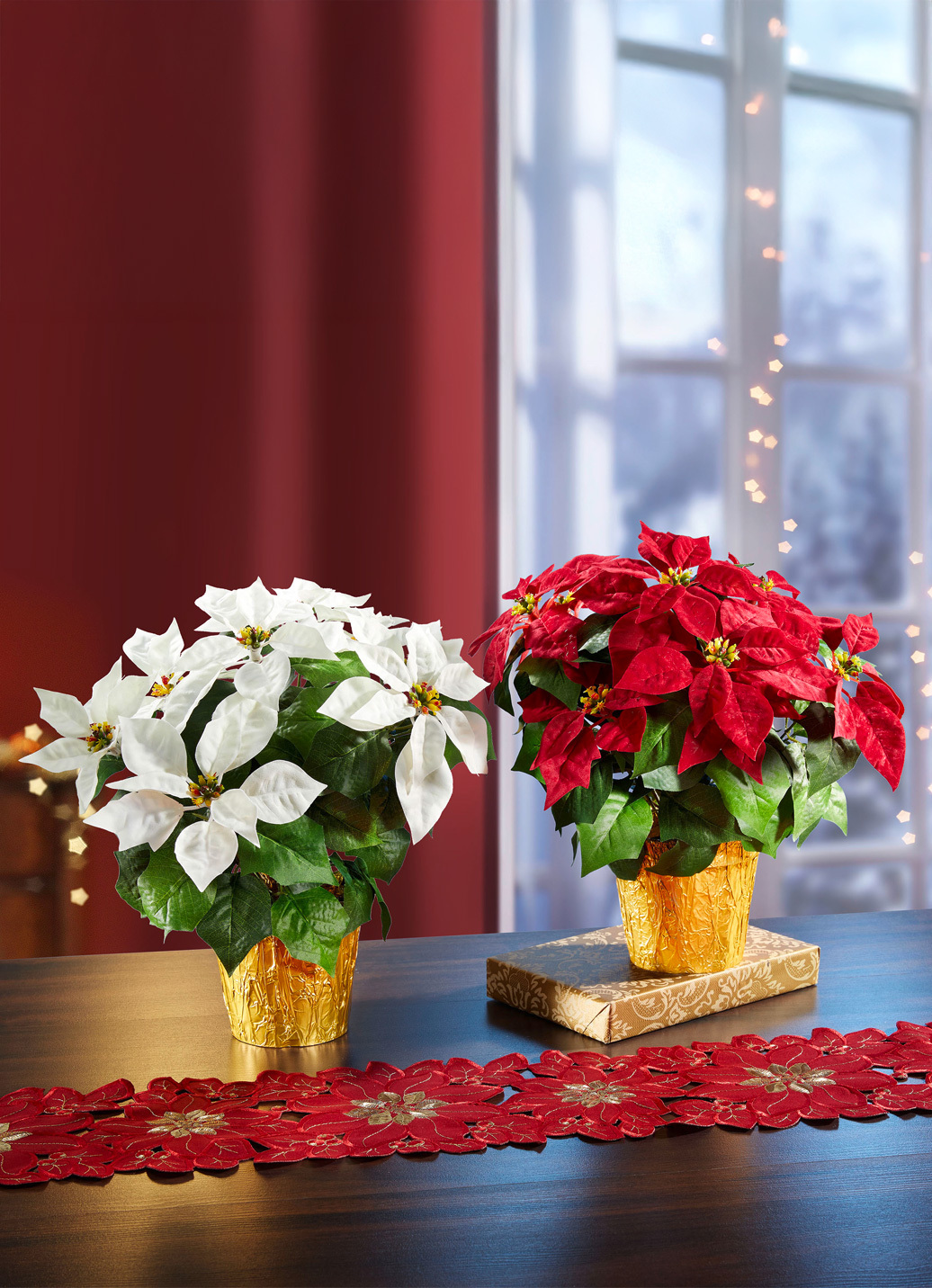Weihnachtsstern im Topf, Rot von BADER