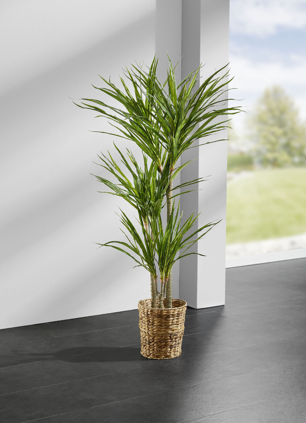 Yucca-Palme im Topf, Grün von BADER