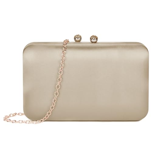 BAIGIO Elegante Damen Clutch Satin Abendtasche Vintage Handtasche Retro Brautasche Silk Smooth Umhängetasche Champagne von BAIGIO