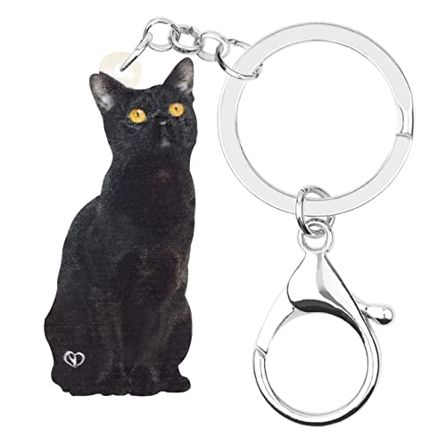 BAMAY Acryl Halloween schwarz Katze Schlüsselanhänger Kürbis Hexe Kätzchen Schlüsselanhänger Zubehör für Frauen Mädchen Autoschlüssel Geldbörse Charms (Dunkel) von BAMAY