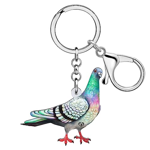 BAMAY Acryl Taube Vogel Schlüsselanhänger Geldbörse Auto Schlüsselanhänger Frühling Schmuck niedliche Taube Geschenke für Frauen Mädchen Sommer Charms (Mehrfarbig 307) von BAMAY